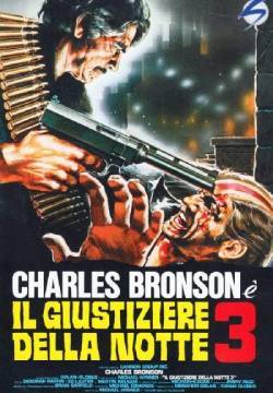 Il giustiziere della notte 3
