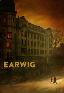 Earwig