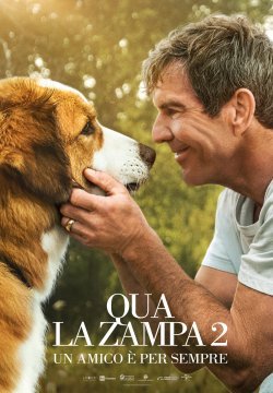 Qua la zampa - Un amico è per sempre