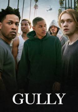 Gully
