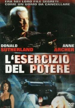 L'esercizio del potere